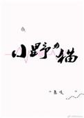 小野猫歌曲原版