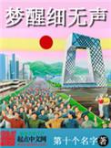 梦醒细无声恋听网