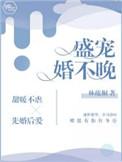 盛宠婚不晚林疏桐