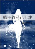 醋王攻文