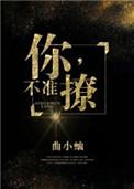 不准撩!晋江