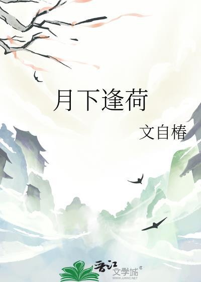 月下荷叶图片