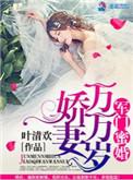军门蜜婚娇妻万万岁叶清欢