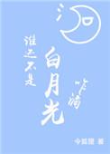 不是谁的白月光也不是谁的朱砂痣