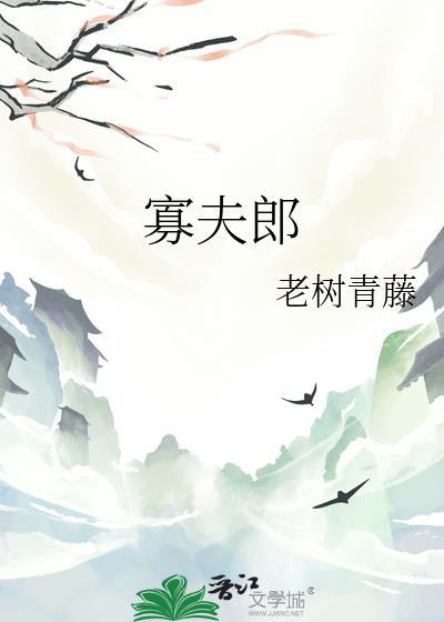 寡夫郎的小酒楼路归途resxs