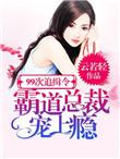 99次逃婚总裁轻轻爱