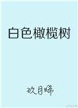 白色橄榄树免费观看电视剧