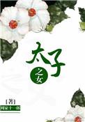 太子是女的推荐