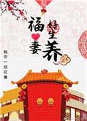 夫好妻福