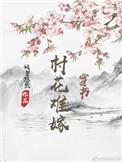 村花难嫁穿书无防弹章