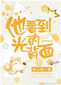 他看到光的背面txt