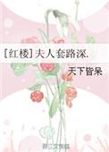 红楼夫人套路深无防盗