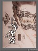 上等宠爱简介
