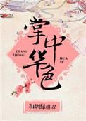 掌中寶是什麼