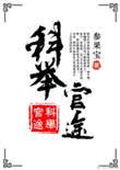 科举官途无错版