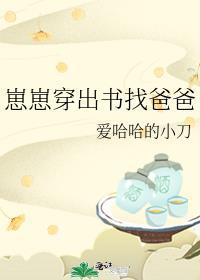 崽崽穿出书找爸爸晋江