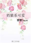 奶猫的图片