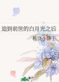 追到前世的白月光之后免费阅读