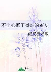 不小心撩了哥哥的室友免费阅读