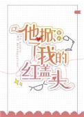 他掀了我的红盖头by紫矜免费阅读全文