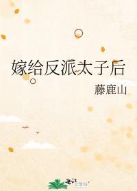 嫁给反派太子后 番外