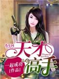 天才高手完整版