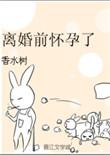 怀孕可以离婚吗