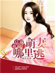 总裁夜敲门 萌妻哪里逃全章