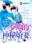 烽火佳人少帅的神秘佳妻