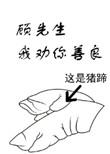 顾先生我劝你善良晋江