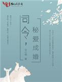 秘密司令