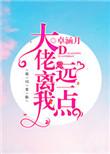 大佬离我远一点TXT