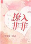 撩入非非笔趣阁