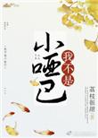 我不是小哑巴讲的什么