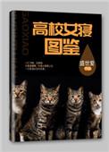女寝环境