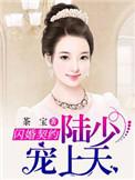 陆少闪婚新娘