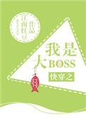 快穿之我是大BOSS聿见全文免费阅读笔趣阁