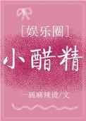 小醋的全部