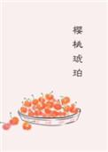 樱桃琥珀讲什么