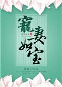 宠宠妻如命