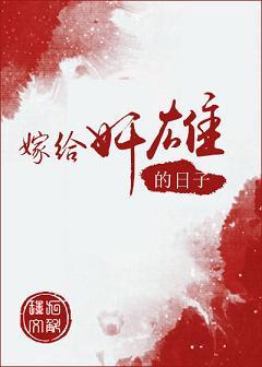嫁给奸雄的日子讲的什么