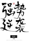 双胞胎互换身份