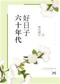 六十年代好日子晓风圆月书包网