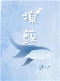 撩鲸全文阅读