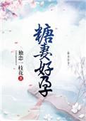 糖妻app功能介绍和价格