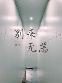 别来无恙讲的什么