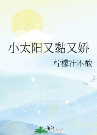 小太阳粘人吗