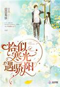 恰似寒光遇骄阳原名
