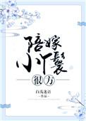 陪嫁丫鬟数数