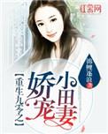 重生九零之娇宠小田妻晋江